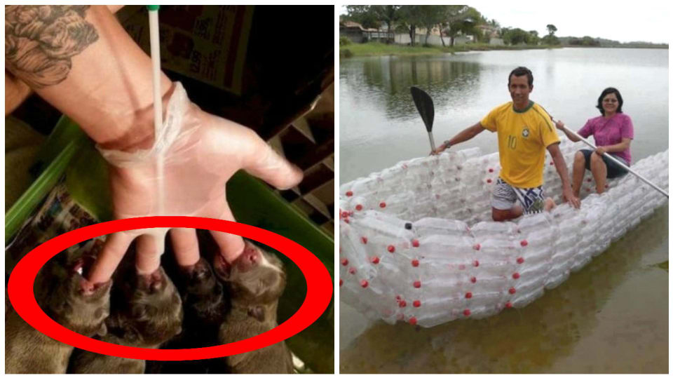 Hlavně, že to funguje!